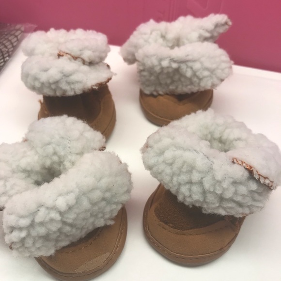 doggie uggs boots